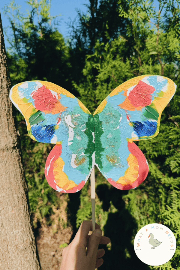 butterfly 1
