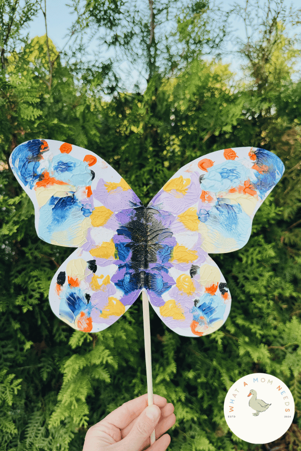 butterfly 2